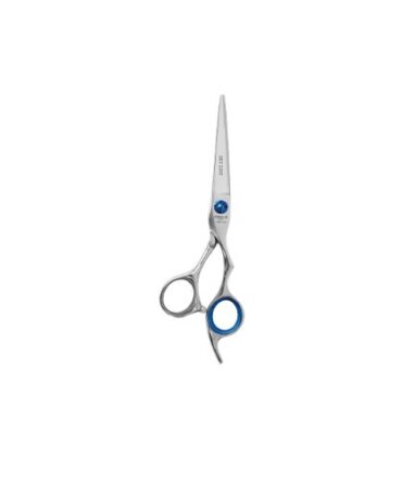 PROF CISEAUX 5.5 INOX SKY LINE